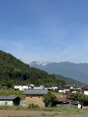 IMG_6536